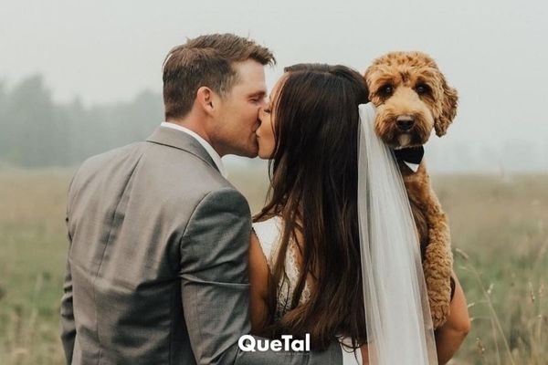 ¿Mascotas el día de mi boda?